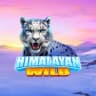 Himalayan Wild casino slot game logo